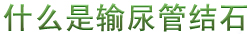 ܽʯ